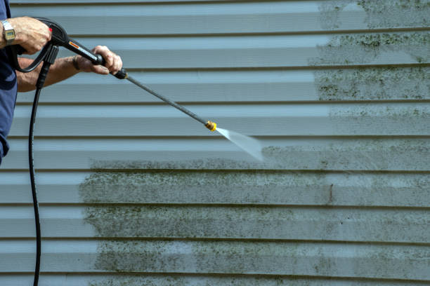 Best Pressure Washing Patio  in Park View, IA