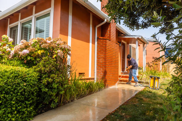Best Local Pressure Washing Services  in Park View, IA