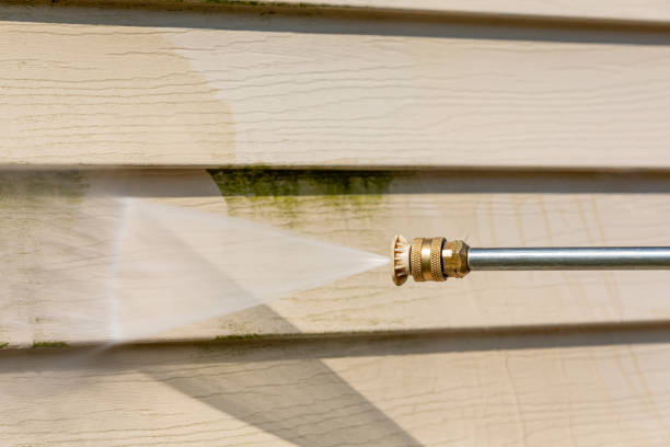 Best Roof Pressure Washing  in Park View, IA