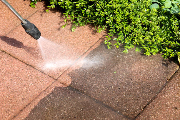 Best Affordable Pressure Washing  in Park View, IA