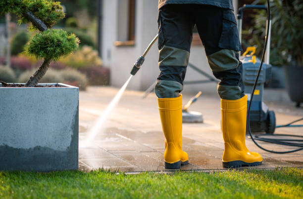 Best Roof Power Washing Services  in Park View, IA